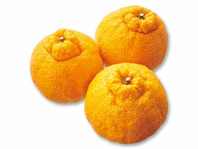 しらぬい(柑橘) 800G写真