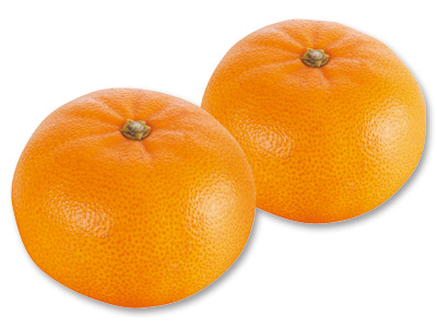 せとか(柑橘) 400G写真