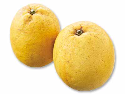 無茶々園のかくし玉弓削瓢柑　500G写真