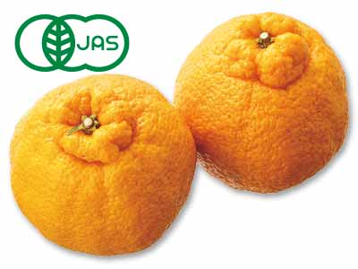 有機しらぬい 450G写真