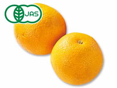 有機はっさく 500G写真