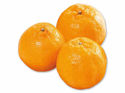 ぽんかん　500Ｇ写真