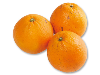 ネーブル 600G写真