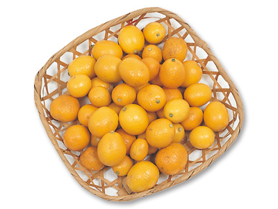 大地のもったいナイ野生きんかん 250G写真