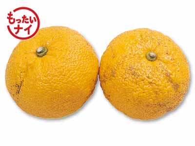 大地のもったいナイおふろ用ゆず　200G写真