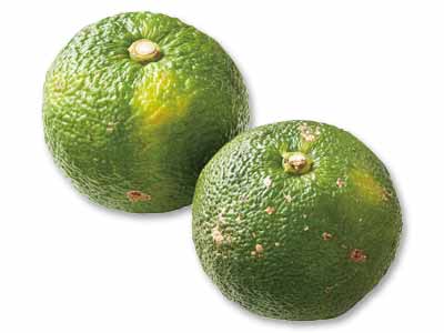 青ゆず 200G写真