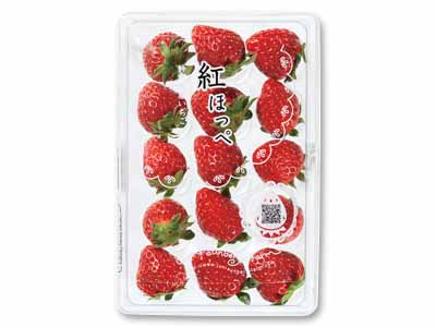 キラキラ真っ赤！純さんの紅ほっぺいちご　250G写真