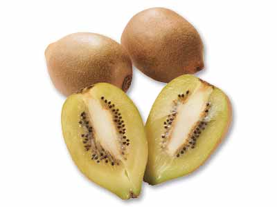 東京ゴールド(キウイフルーツ) 300G写真