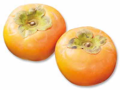 富有柿 400G写真