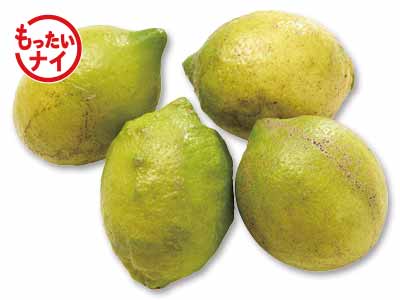 大地のもったいナイキズあり不揃いレモン　500G写真