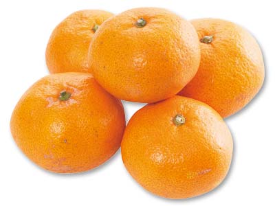 青島温州みかん　400G写真