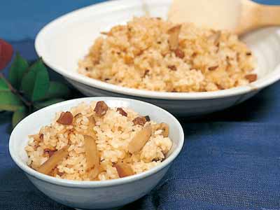 鶏ごぼうご飯の素写真