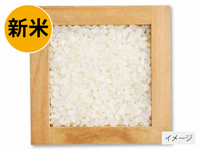 北海道ななつぼし(無洗米)白米写真