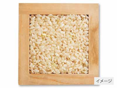 宮崎コシヒカリ玄米　3KG写真