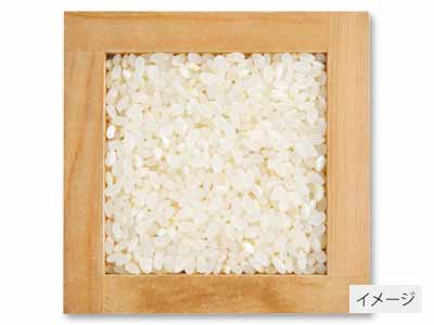 宮城ササニシキ胚芽米　3KG写真