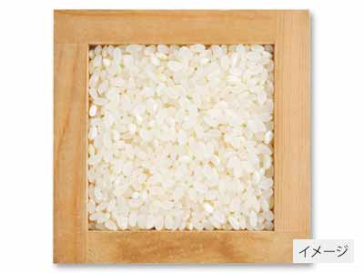 宮城ミルキークイーン胚芽米 3KG写真