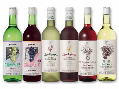 箱売・五一わいんの無添加ワイン6本セット写真