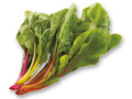 ◆サラダの色どりに◆スイスチャード（栽培期間中節減対象農薬不使用）　50G