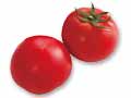 ◆濃厚な甘みが楽しめる◆フルーツトマト　150G