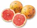 大地のもったいナイ国産ルビーグレープフルーツ　600G