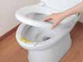 予約　おしっこ吸う〜パット（便器のすき間シート）　30コ入_3