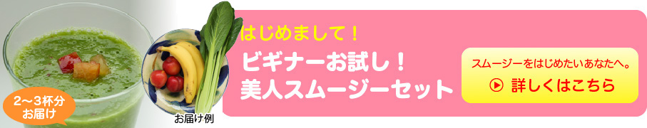 ビギナーお試し美人スムージーセット